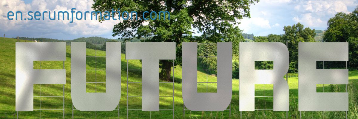 en.serumformation.com